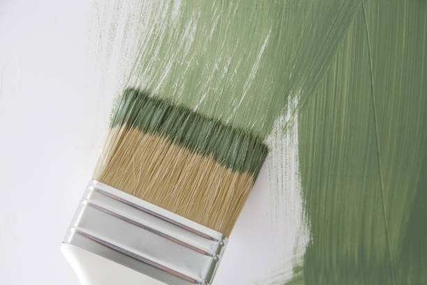 Best Mold Documentation for Insurance Claims  in Plymouth, OH