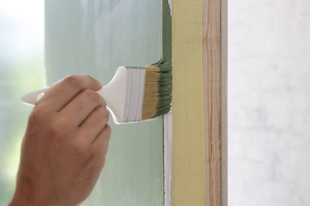 Best Basement Mold Removal  in Plymouth, OH