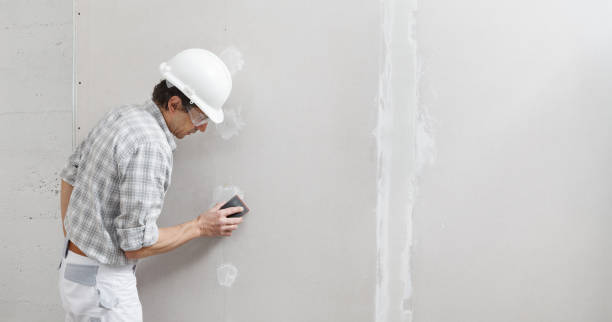 Best Comprehensive Air Testing for Mold Contaminants  in Plymouth, OH