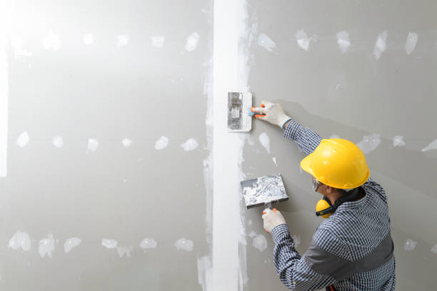 Best Residential Mold Inspection & Testing  in Plymouth, OH