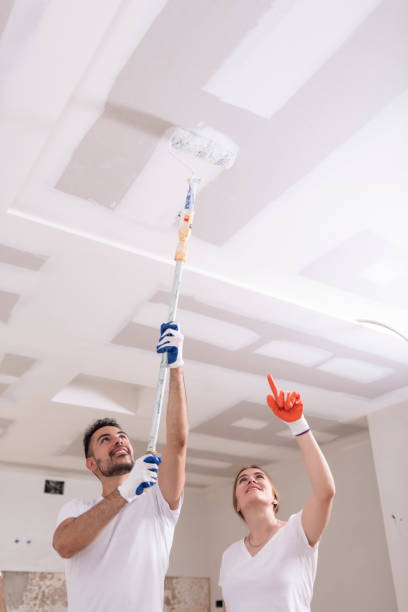 Best Mold Prevention Services  in Plymouth, OH