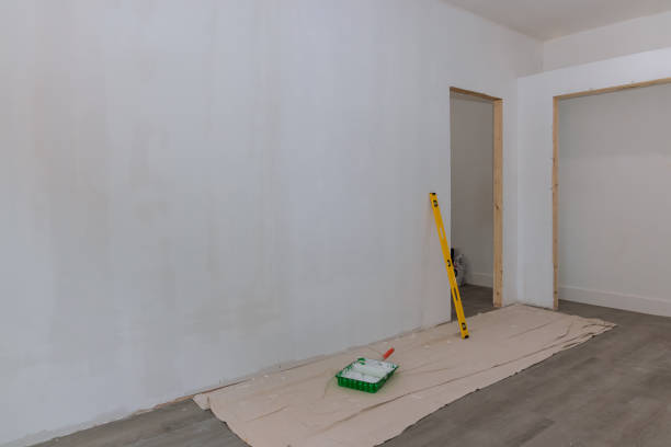 Mold Odor Removal Services in Plymouth, OH