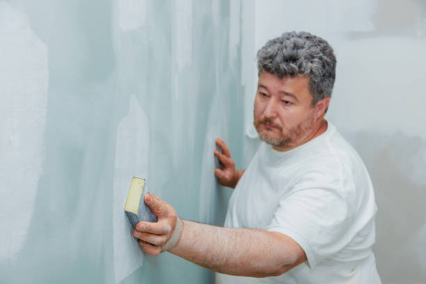 Best Real Estate Mold Inspection  in Plymouth, OH