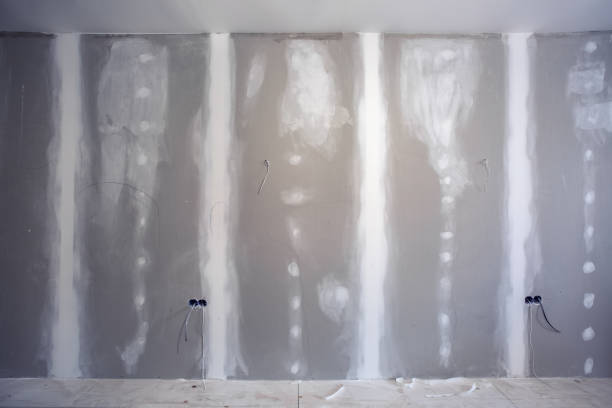 Best Attic Mold Removal  in Plymouth, OH